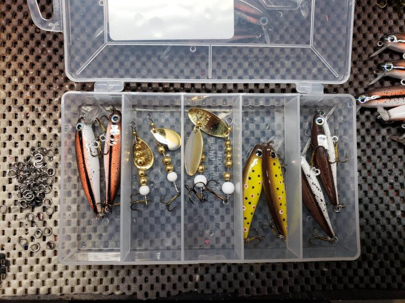 Redfin, Dace, Brown Trout, stickbait, trout fishing.