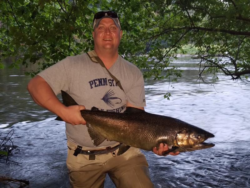 King Salmon, Salmon River, 